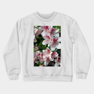 Encore Azalea Flowers 2 Crewneck Sweatshirt